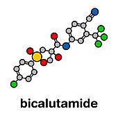 Bicalutamide prostate cancer drug, molecular model