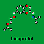 Bisoprolol beta blocker drug, molecular model