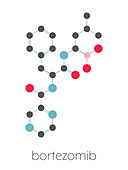 Bortezomib cancer drug, molecular model
