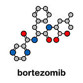 Bortezomib cancer drug, molecular model