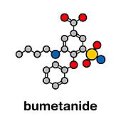 Bumetanide heart failure drug, molecular model