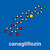 Canagliflozin diabetes drug, molecular model