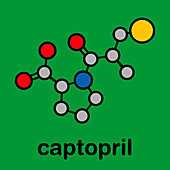 Captopril high blood pressure drug, molecular model