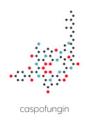 Caspofungin antifungal drug, molecular model