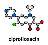 Ciprofloxacin antibiotic drug, molecular model