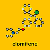 Clomifene ovulation inducing drug, molecular model