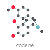 Codeine pain and cough relief drug, molecular model