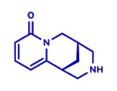 Cytisine smoking cessation drug, molecular model