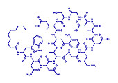 Daptomycin antibiotic drug, molecular model