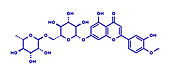 Diosmin venous disease and haemorrhoid drug, molecular model