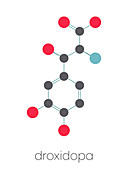 Droxidopa hypotension drug, molecular model