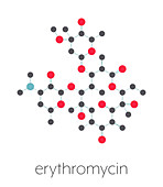 Erythromycin antibiotic drug, molecular model