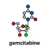 Gemcitabine chemotherapy drug, molecular model