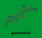 Goserelin breast and prostate cancer drug, molecular model