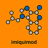 Imiquimod topical skin cancer drug, molecular model
