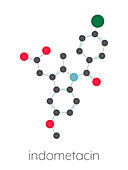 Indomethacin non-steroidal anti-inflammatory molecule