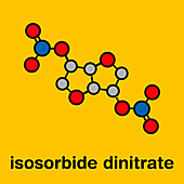 Isosorbide dinitrate vasodilator drug, molecular model