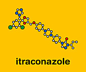Itraconazole antifungal drug, molecular model