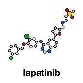 Lapatinib cancer drug, molecular model