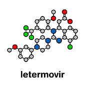 Letermovir cytomegalovirus drug, molecular model