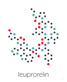 Leuprorelin breast and prostate cancer drug, molecular model
