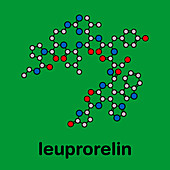 Leuprorelin breast and prostate cancer drug, molecular model