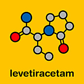 Levetiracetam epilepsy drug, molecular model