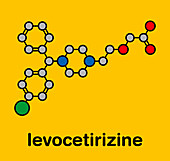 Levocetirizine antihistamine drug, molecular model