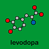 Levodopa Parkinson's disease drug, molecular model