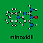 Minoxidil male pattern baldness drug, molecular model