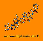Monomethyl auristatin E, molecular model
