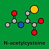 Acetylcysteine mucolytic drug, molecular model