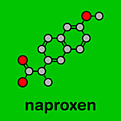 Naproxen pain and inflammation drug, molecular model
