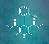 Nifedipine calcium channel blocker drug, molecular model