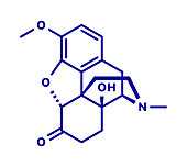 Oxycodone pain relief drug, molecular model