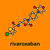 Rivaroxaban anticoagulant drug, molecular model