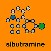 Sibutramine obesity drug, molecular model