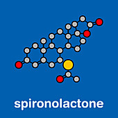 Spironolactone drug, molecular model