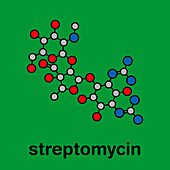 Streptomycin tuberculosis antibiotic drug, molecular model
