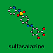 Sulfasalazine drug, molecular model