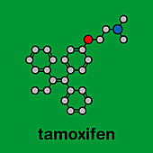 Tamoxifen breast cancer drug, molecular model