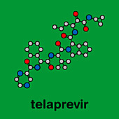 Telaprevir hepatitis C virus drug, molecular model
