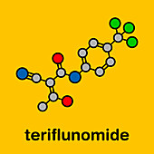 Teriflunomide multiple sclerosis drug, molecular model