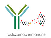 Trastuzumab emtansine antibody-drug conjugate molecule
