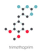 Trimethoprim antibiotic drug, molecular model