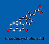 Ursodiol gallstone drug, molecular model