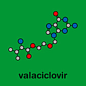 Valaciclovir herpes infection drug, molecular model