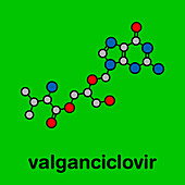 Valganciclovir cytomegalovirus drug, molecular model