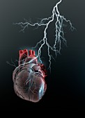 Human heart with lightening, illustration