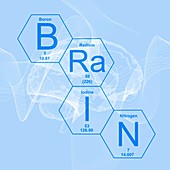 Chemical elements brain, illustration